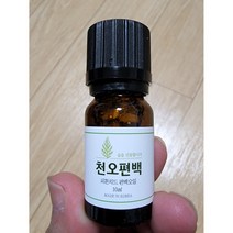 천오 편백나무 피톤치드 원액 오일 본품, 10ml, 4개