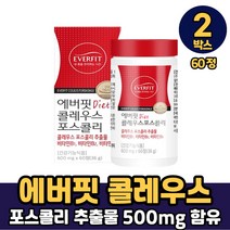식약처인증 콜레우스 포스콜리 추출물 500mg 함유 캡슐 정 가루 분말 알약 타입 타블렛 체지방감소 건강기능식품 먹는법, 2박스, 콜레우스포스콜리 x 60정