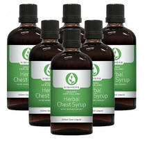 키위허브(KIWIHERB) 키위허브 허벌 체스트 시럽 100mlX 6개, 600ml, 1세트