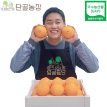 제주 산지직송 우수농산물(GAP) 인증 선물 1위 게르농법 고당도 레드향, 레드향 / 1kg / 가정용 / 5~8과내외