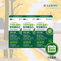 뇌 기능 생각 활성화 에 좋은 기억력 인지력 저하 감퇴 혈행 개선 플라보놀배당체 은행잎 추출물 징코 ginko 영양제, 3BOX(3개월분)