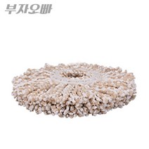 추가 리필걸레 회전걸레청소기 걸레회전탈수 걸레리필 봉 밀대 물, fir 리필걸레(올스틸용)