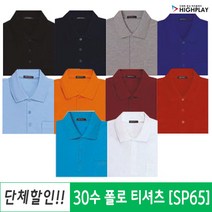 단체티셔츠 카라 반팔티 소량 주문제작 / SP65