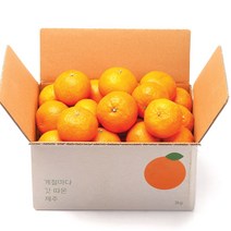 깨비농원 제주 카라향, 1box, 카라향 2.5kg 로얄과