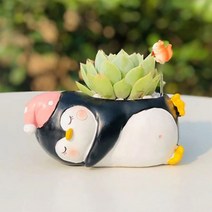ROOGO 루고 화분 행복한 동물 일기 펭귄