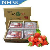 하동 옥종 딸기 2kg 중 상 특, 02_딸기2kg(상), 상세설명 참조