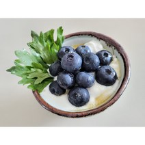 담양 블루베리 바이오샹떼 1kg 유기농 생블루베리 가정용