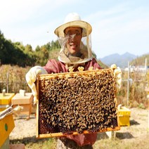 밤꿀 100% 국내산 천연벌꿀 진짜꿀, 1개, 2.4kg