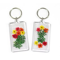 (SA) 생화로꾸미는압화열쇠고리만들기(5인용)