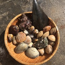 조개탕수산물 어패류 세트 (6종)1kg 제철 캠핑모듬조개 해산물 바지락 째복 명주 갈미 백합조개 백상합 모시 뿔소라 대왕 참가리비구이 키조개 전복 삐뚤이소라 밀고동 돌조개 흠스수산, 1개, 1kg