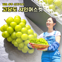 산지직송! 갓 수확해서 탱탱한 샤인머스켓포도 1kg 2kg 선물세트 총집합, 샤인머스켓 상품2~3수(1kg내외)