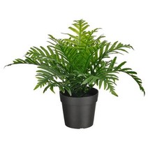 이케아 IKEA 인조식물 실내외겸용 휘틀리 자이언트 21cm, 1개