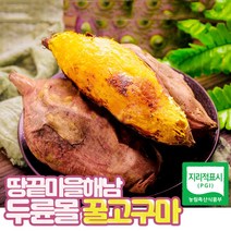 해남 꿀고구마 베니하루카 3kg 5kg 10kg, 해남 꿀 고구마, 한입(미니고구마)