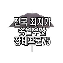 송월우산 장테프론75 방풍우산 최고급우산 강풍에 강한 골프용품 홀인원 필드용 장우산, 상세페이지 참조2, 곤색