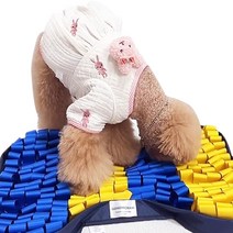 고놈참 노찌 강아지 노즈워크, 1개