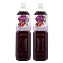 빠른배송 복분자 음료베이스 1500mlx2개 과일농축액에이드 사무실 탕비실, 2개, 1500ml