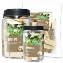 황칠나무(국산) 모음 말린 황칠나무차 건강 한방 약재, 황칠나무[국산] 400g[통]