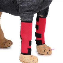 MMSc_애견보호대 무릎 슬개골 쓸개골 대형 강아지 보조기 다리 반려견 다름tuv658, MMSc_블랙