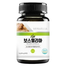 GO2shop GO2shop_ 아스타비전영양제 콜라겐정 혈당영양제 단백질영양제 +★뼑쪸, it● 보스웰리아 90정, it● 보스웰리아(90정) 1통