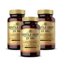 솔가 철분제 젠틀 아이언 25mg 180캡슐 3개 SOLGAR Gentle Iron