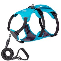 Charmsong Reflective Dog Harness for Medium Dogs with Leash No-Choke Large Dogs Tactical Harness Adj, Blue, X-Small (Pack of 1)
