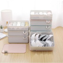 IPM119491STORAGE BOX 속옷 수납함 플라스틱 정리함, 블루