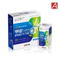 일양약품 액티칼 블루칼슘 마그네슘 (1+1 8개월분) 생체흡수 황금비율 신경 근육기능유지 골다공증발생 위험감소 뼈성분의 99%칼슘 해조칼슘 비타민D 엽산 콜라겐, 단품, 단품