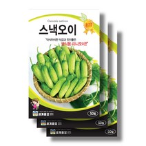 스낵오이 씨앗30립x3 생식용 미니오이 씨앗, 30립x7봉
