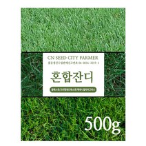 잔디씨앗 잔디씨 양잔듸 골프장 정원 공원용, 혼합잔디 500g, 1개
