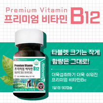 날송 고함량 비타민 B12 비12 메틸 코발라민 목넘김이 쉬운 초소형 타블렛 정제 캐나다 엽산 대사 임산부 임신초기 영양제 알약케이스 포함