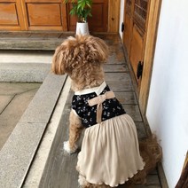 라티푸 강아지 더편한 애견 한복, 원피스