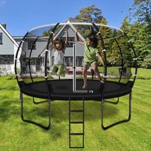 가정용 방방이 성인 운동 에어 보드 울타리 카페 시설, 10피트 3.06m 트램펄린(네트/바스켓)