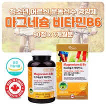 약국 에너지 마그네슘 비타민 b6 운동 선수 영양제 고함량 마그네슘 비타민 b 여성 남성 노인 어르신 성장기 어린이 청소년기 산화 마그네슘 체력 활력 효능 보충제 MAGNESIUM 추천