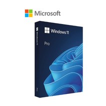 마이크로소프트 Windows 11 Pro FPP (USB포함/처음사용자용/한글/정품 패키지)