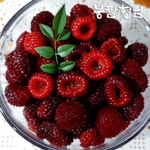 새콤달콤 포항 산딸기 500g 급냉 신선포장, 단품