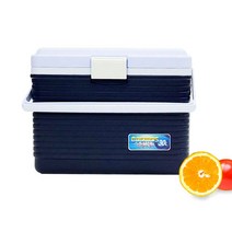 제이엘 이동식 쿨러 낚시 캠핑 다용도 아이스박스 30L 용품 백 팩 미니 대용량 04596-045965ea, jl365mall 본상품선택