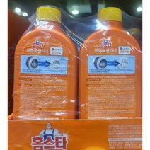 홈스타 퍼펙트 세탁조 클리너, 450ml, 2개