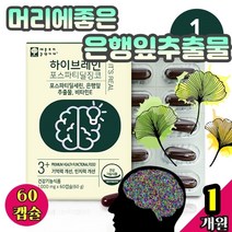 머리에좋은 은행잎추출물 기억력 시니어 기력회복 기억력에좋은 인지력 뇌세포 두뇌영양제추천 포스파티딜세린 사고력 식약처인증 집중력높이는법 뇌건강 빌로발라이드 은행추출물 깜빡깜빡 두뇌훈련