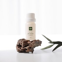노마인드 피톤치드 편백오일 10ml, 1개