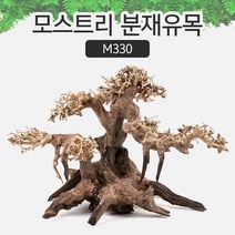 모스트리 분재유목S M330