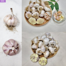 23년 서산 햇마늘 홍산 마늘 대서 마늘 통마늘 1kg, 대서마늘 혼합1kg (-5000원), 1개