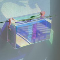 [크리넥스 전용] 바이챈스 드라이셀 핸드타올 케이스 아크릴 타입, 드라이셀 홀로그램