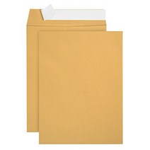 100 9 X 12 Self Seal Golden Brown Kraft Catalog Envelopes - Designed for Secure Mailing - Oversize S, 1