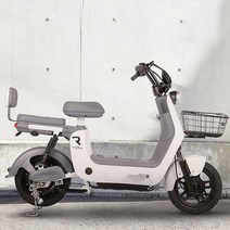 2023 레이윙 디스커버리 프레시 S10 전기 전동스쿠터 750w 16Ah, 블랙(44ah)