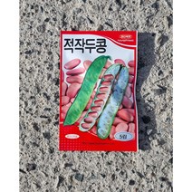 작두콩 종자 (적색 작두콩 5알)