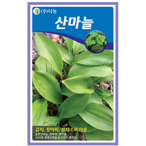 갑조네 산마늘 씨앗 채소키우기 베란다텃밭, 1개