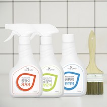 에코후레쉬 곰팡이 제거제 항균 방지 3종세트 / 벽 벽지 욕실 화장실 뿌리는 대용량 제거 8737, 곰팡이방지제 1개 (사은품 붓)