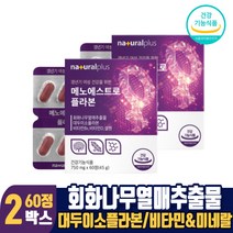 갱년기 여성 건강 회화나무 열매 추출물 소포리코사이드 대두이소플라본 뼈건강 비타민D 미네랄, 60정, 2개