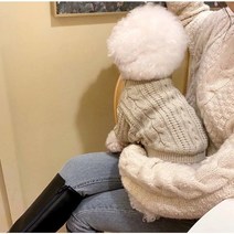 강아지니트 데일리 꽈베기니트 긴팔 스웨터 애견옷, 그레이베이지