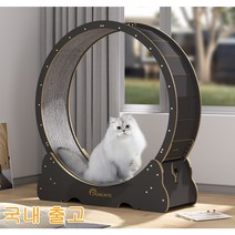 RUNCATS 설치 면제 캣휠 무소음 고양이캣휠, 무광블랙 자체 조립XL(113*36*120)